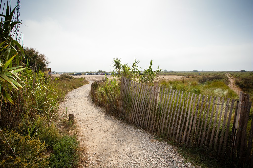 Camping-Les-Sablines-naar-het-strand Camping-Les-Sablines-naar-het-strand