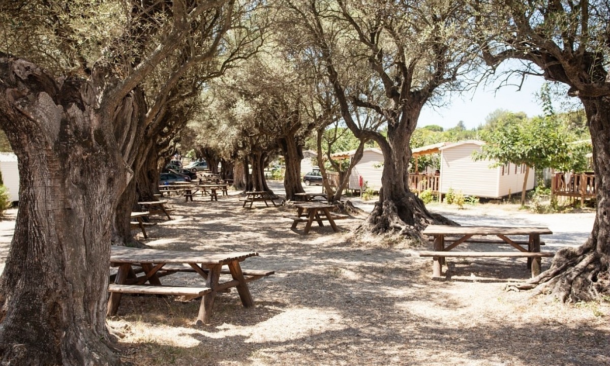 Camping-La-Baie-des-Anges-zee - Photo 3