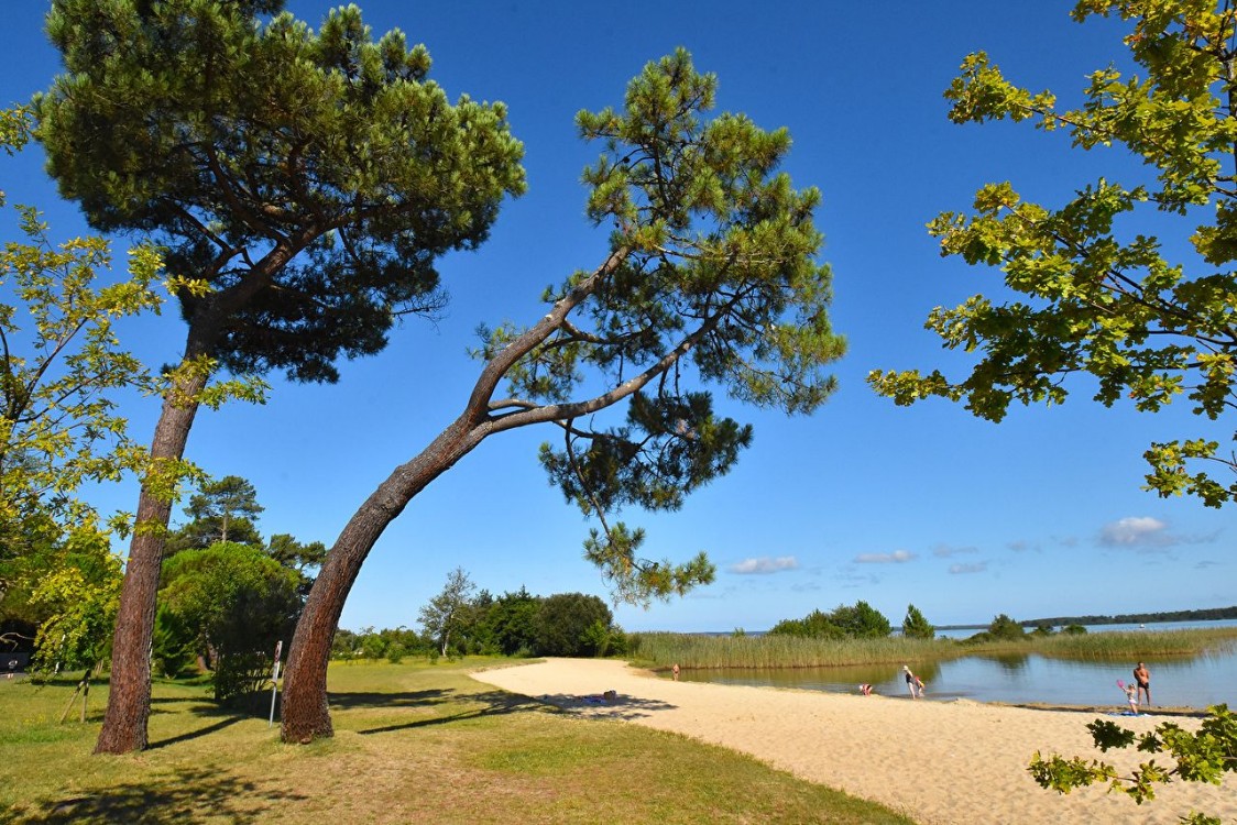 Camping-Sanguinet-Plage-strand-2 Camping-Sanguinet-Plage-strand-2