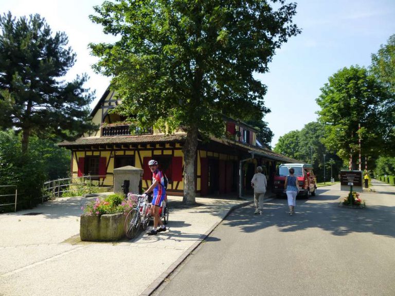 Camping Colmar 768x576