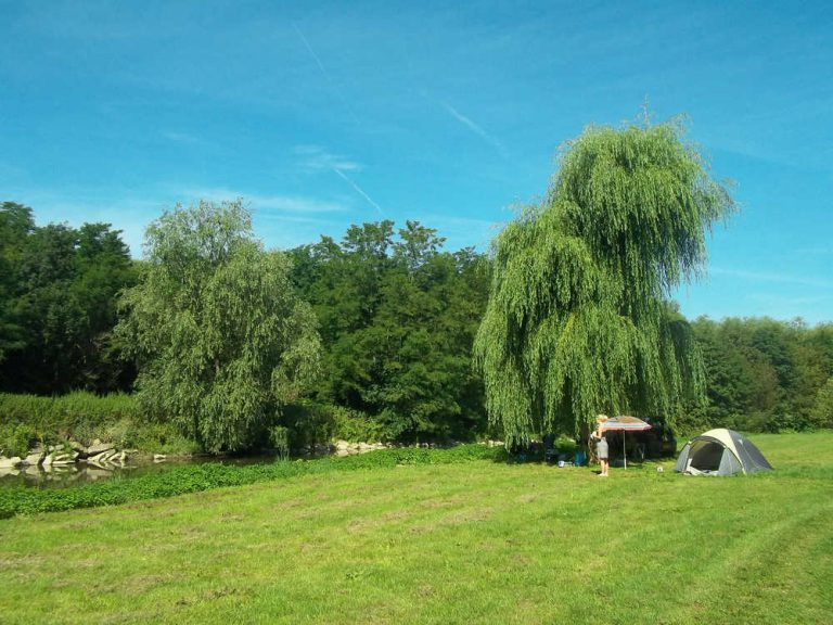 Camping Colmar staanplaats veld 768x576