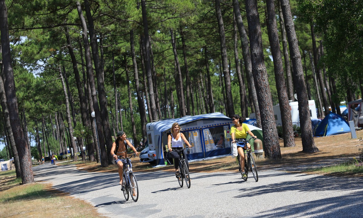 Camping Médoc-Plage in Vendays-Montalivet, Nouvelle-Aquitaine, Frankreich photo 3