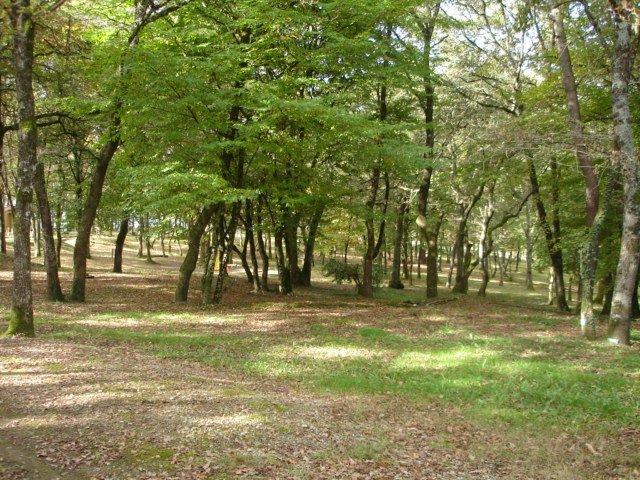 Camping La Garenne Peyrignac staanplaatsen