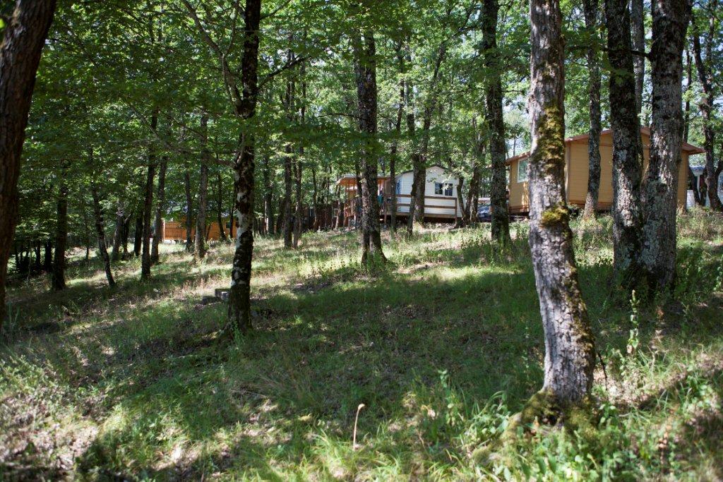Camping La Garenne in Peyrignac photo 4