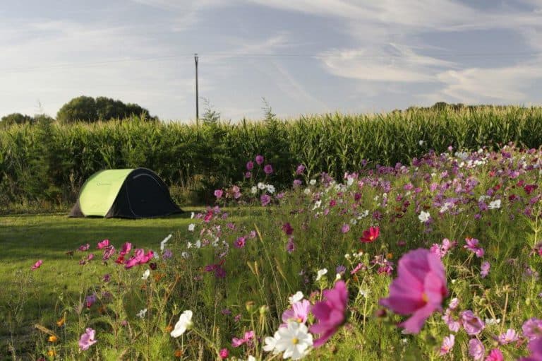 Camping Ferme de Prunay 768x511