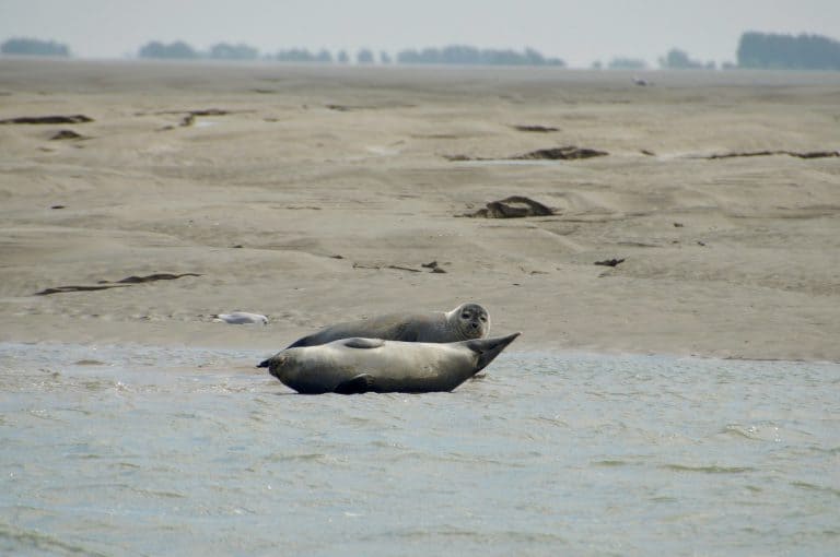 Camping du Champ Neuf 768x510