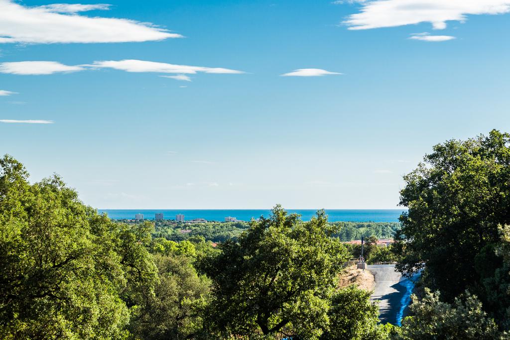 Camping Des Mimosas in Argelès-sur-Mer photo 5