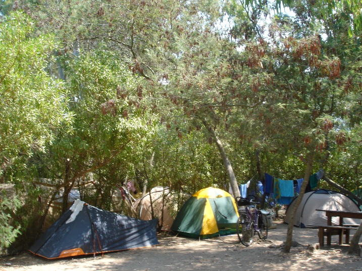 Camping La Clé des Champs in Calvi op Corsica staanplaatsen
