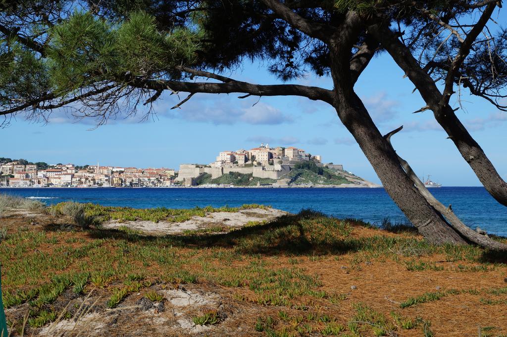 Camping Les Castors Calvi - Photo 2