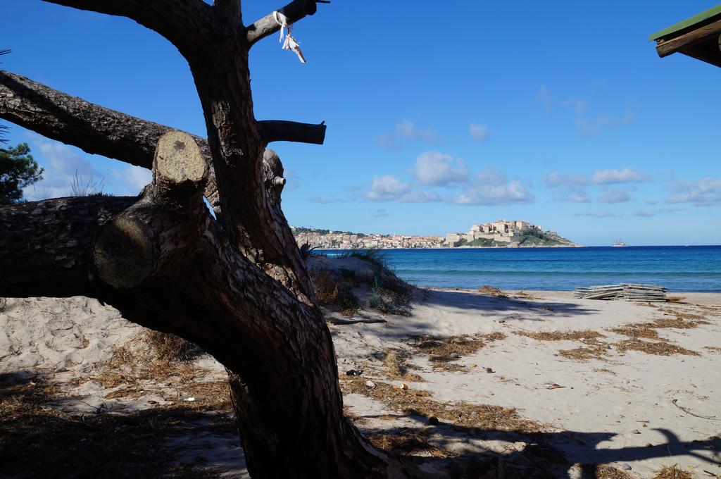 Camping Les Castors Calvi photo 3