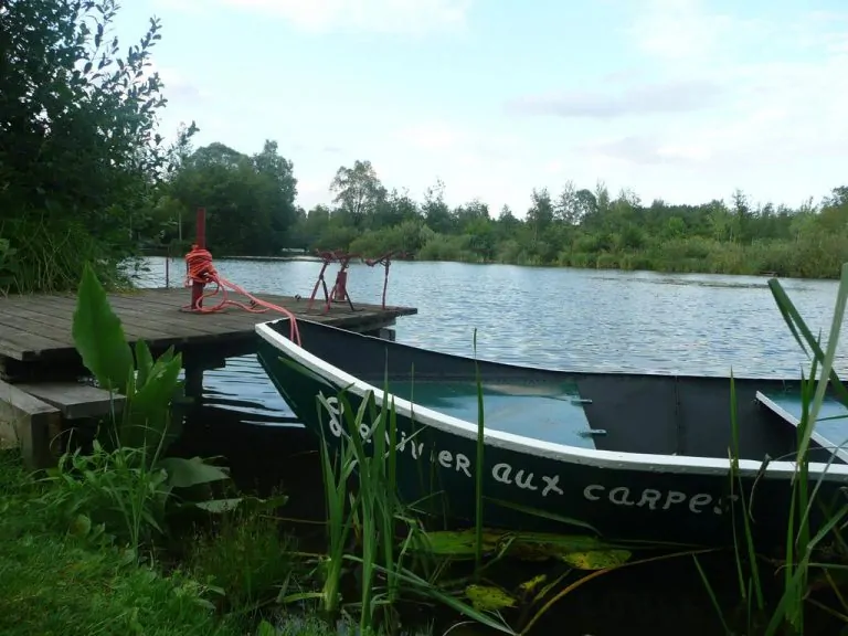 Camping du Vivier aux Carpes 768x576