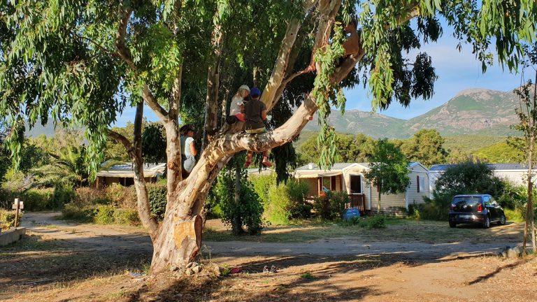Camping U sole Marinu Corsica stacaravan huren 768x432