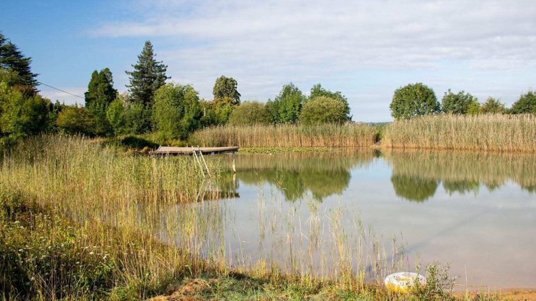 Camping Lestaubière Dordogne meertje 768x432