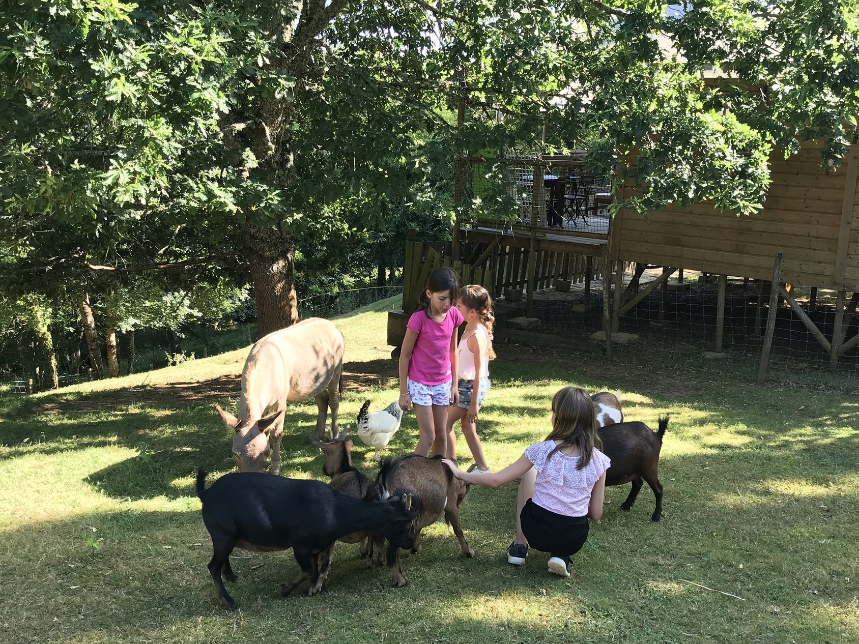 Camping L'Offrerie in Rouffignac-Saint-Cernin-de-Reilhac photo 3