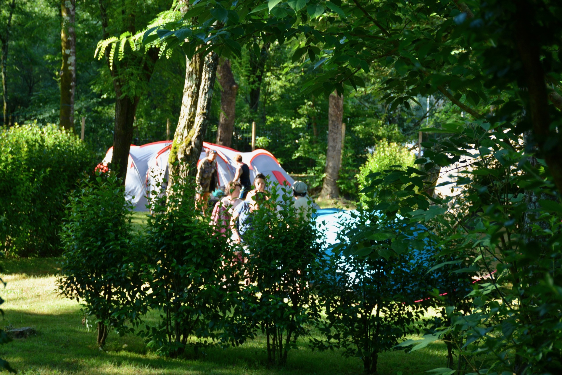 Campingplatz Le Coin Charmant in Chauzon, Auvergne-Rhône-Alpes, Frankreich photo 3