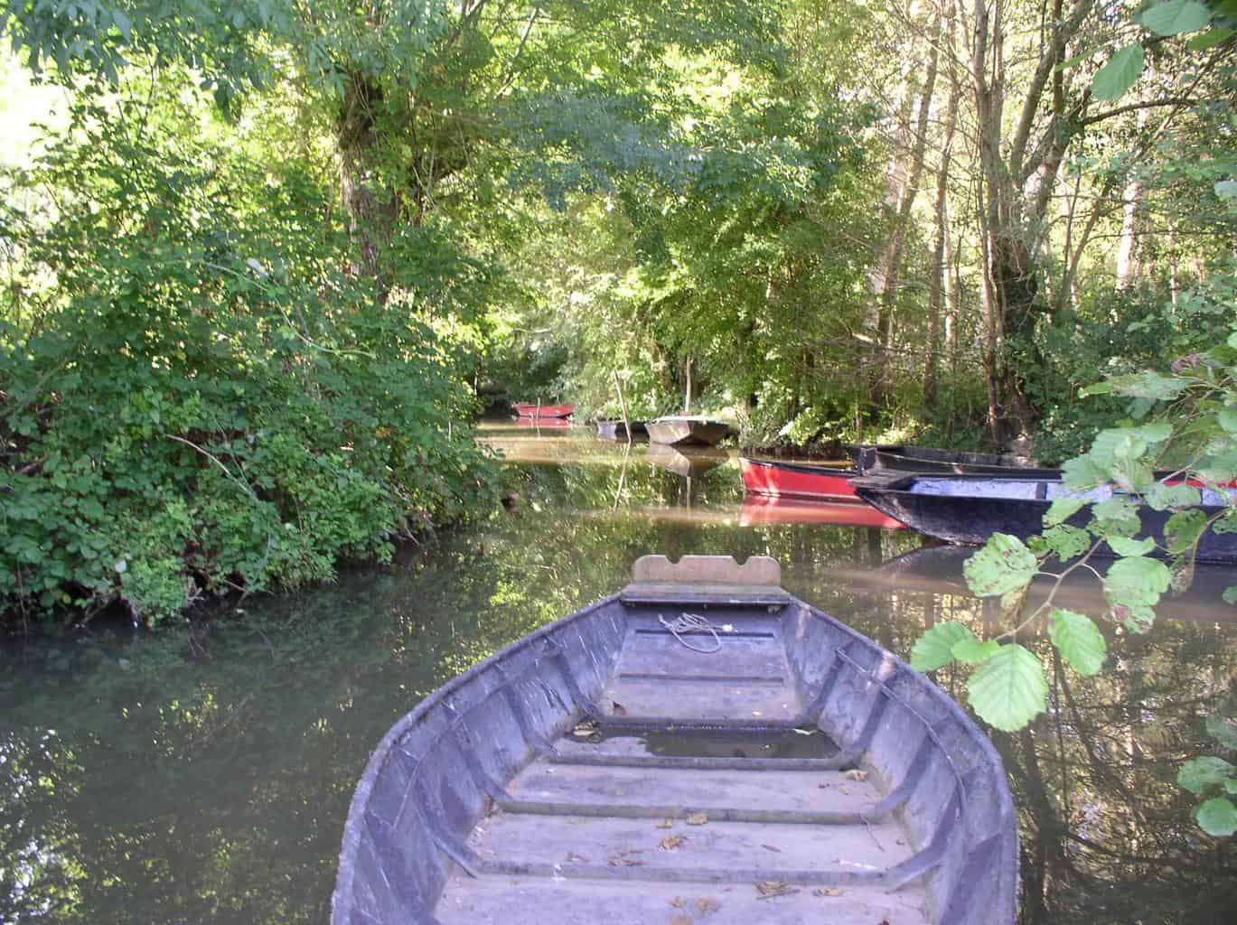 Camping Le Martin Pêcheur in Magné, Nouvelle-Aquitaine, Frankreich photo 3