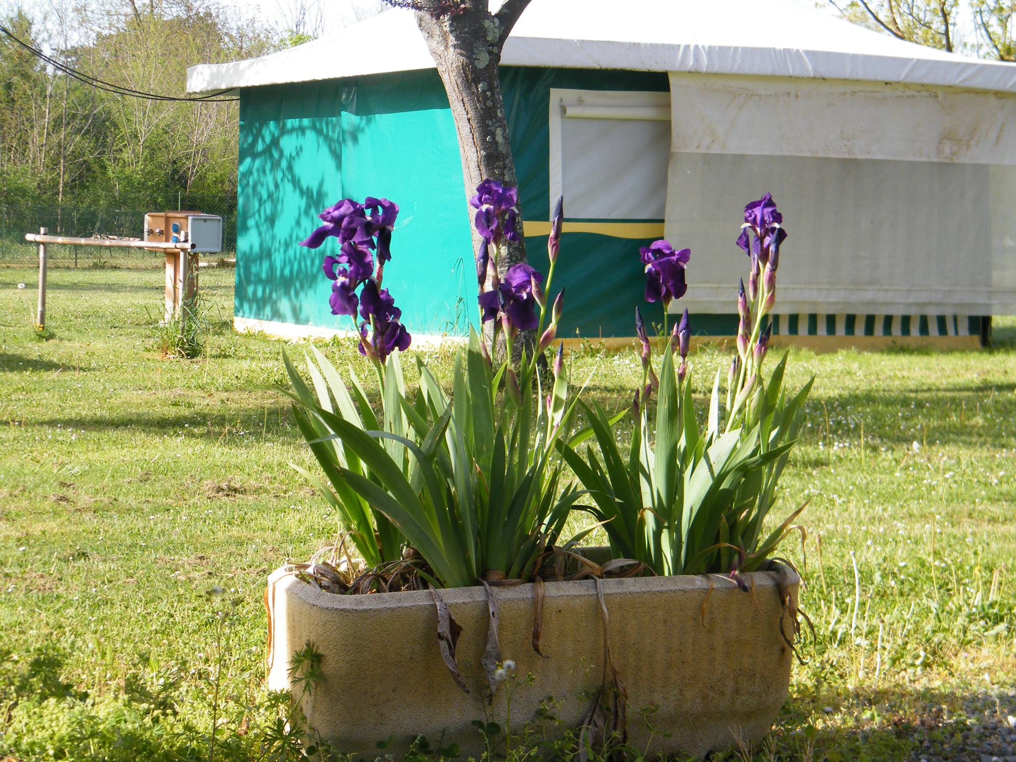 Camping Les Eychecadous in Artigat photo 4