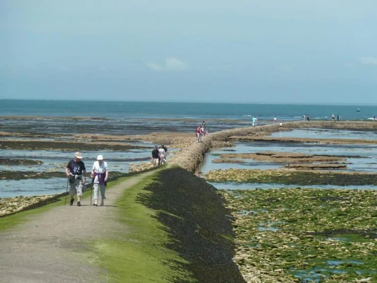 Camping Les Pérouses Île de Ré 768x576