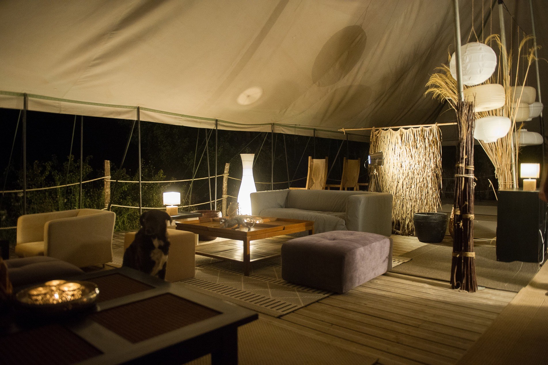 Camping Du Mas De Nadal in Sauliac-sur-Célé photo 3