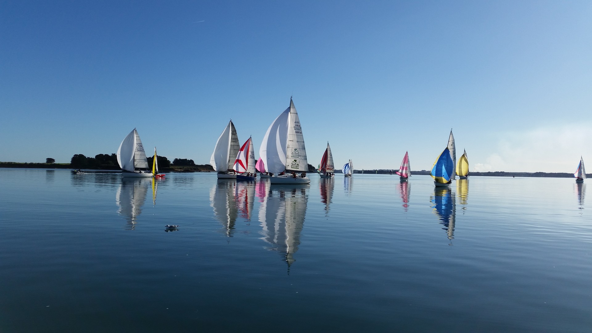 Camping Sites et Paysages De Penboch in Arradon, Bretagne, Frankreich - Photo 3