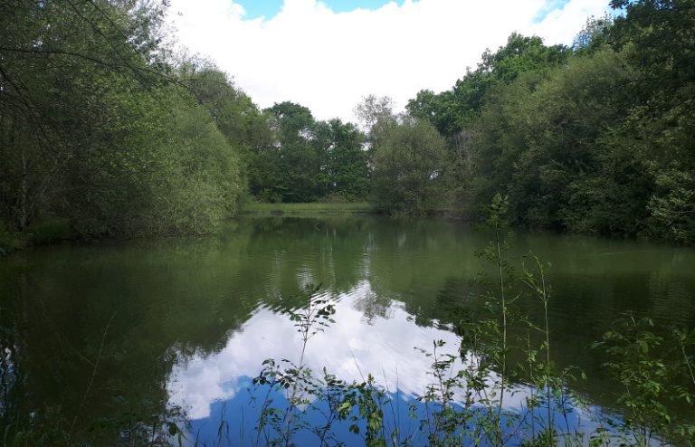 Camping De Bergougne vismeer 768x494