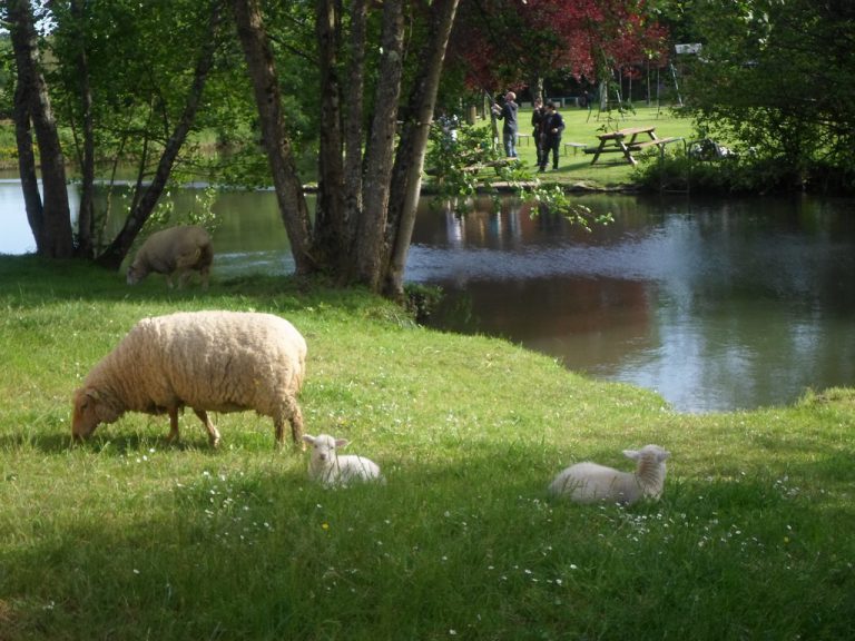 Camping De Civray rivier 768x576