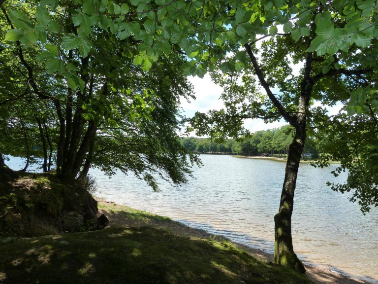 Camping de l Étang du Merle meer 768x576