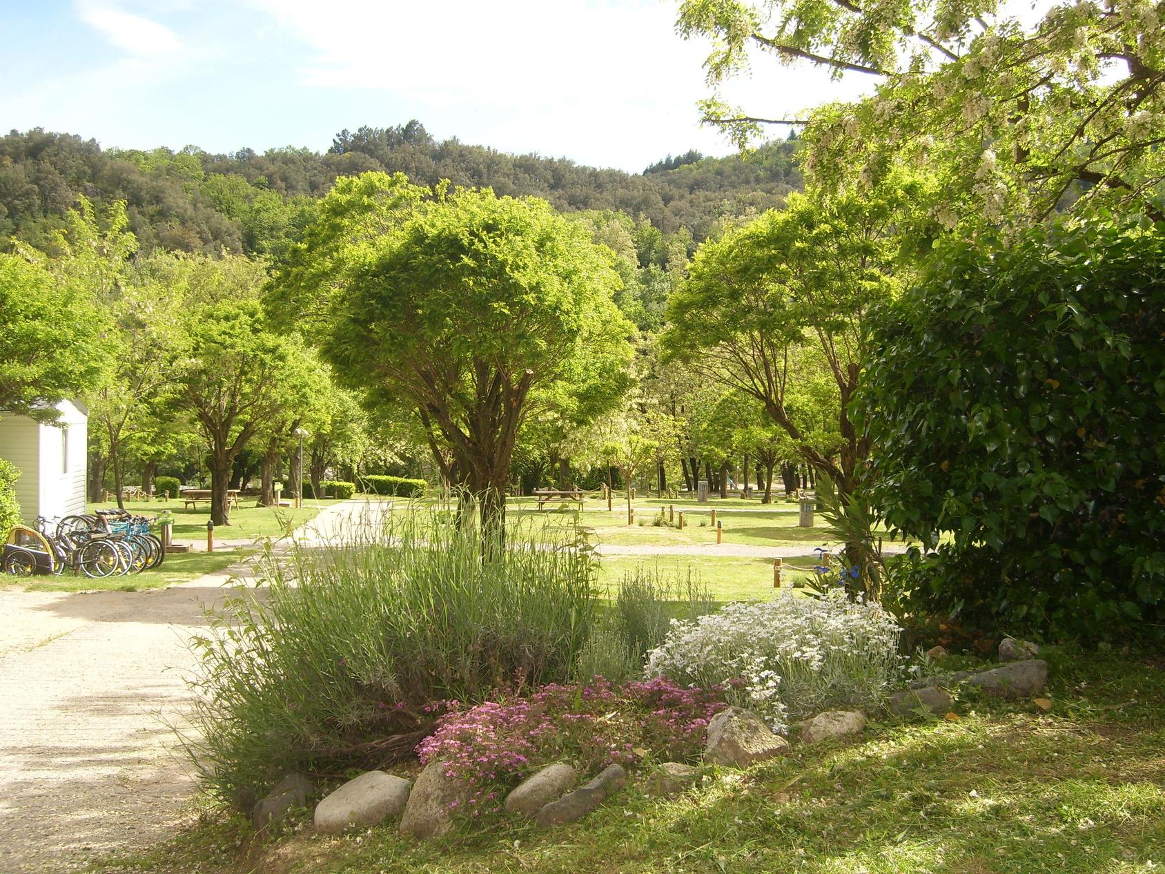 Camping La Charderie in Pont-de-Labeaume photo 2