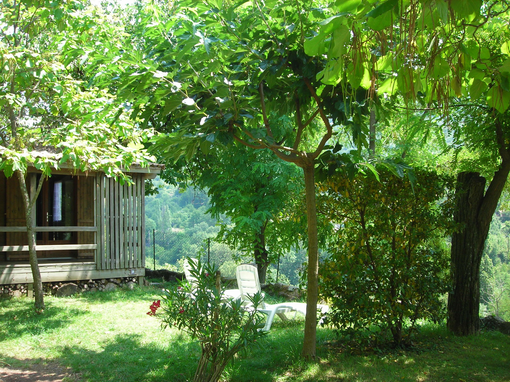 Camping Les Lavandes in Darbres photo 2