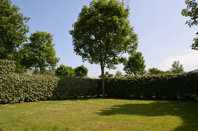 Camping Les Logeries Vendee staanplaats 768x509