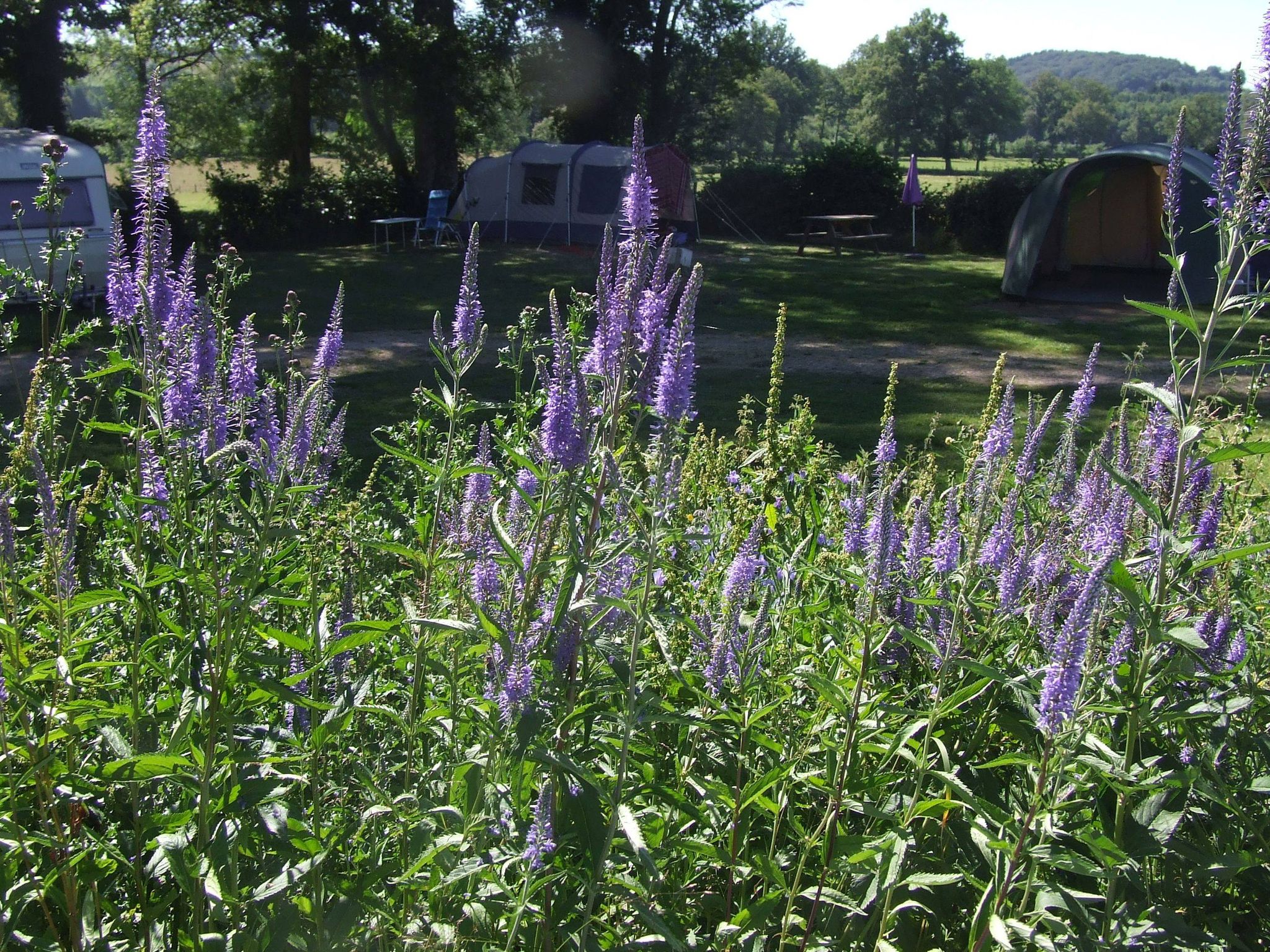 Naturcampingplatz Les Fayes in Gouttieres photo 3