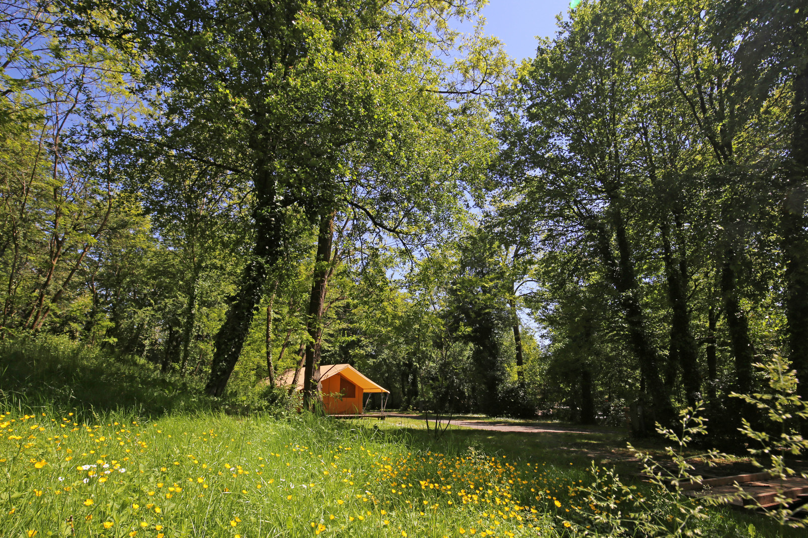 Stadtcamping Lyon - Städtereise Lyon & Transitcampingplatz an der Autobahn A6 photo 4