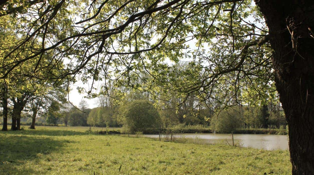 Bauernhof-Campingplatz L'Étable des Mauges en Anjou in Maine-et-Loire. - Photo 3