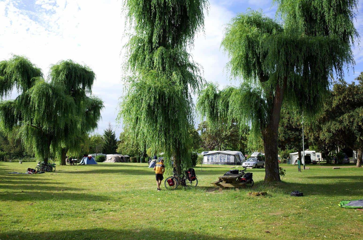 Camping Les Portes d'Alsace in Saverne - Photo 2