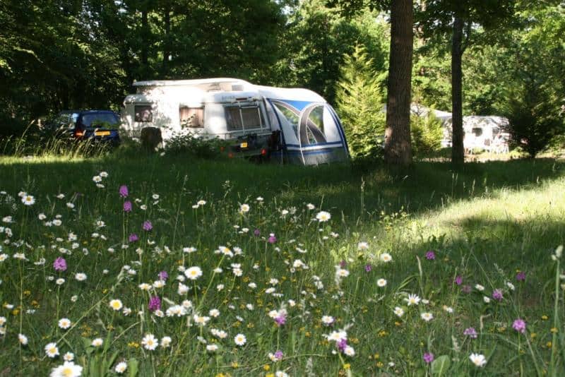 Camping Au Bois Joli in Andryes photo 2