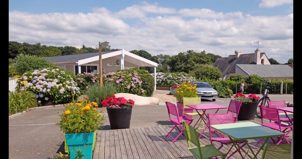 Blumen Camping Le Kerleyou in Douarnenez, Bretagne, Frankreich - Photo 2