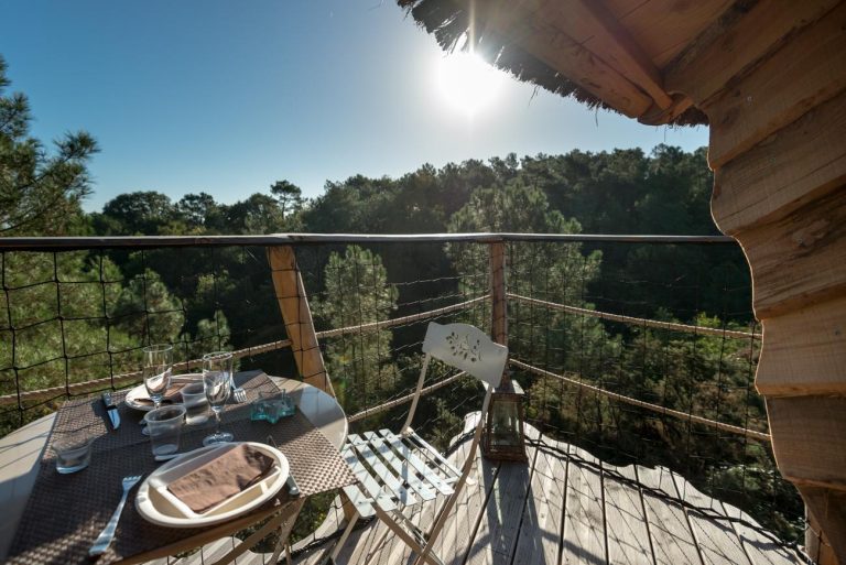 000005501631 768x513